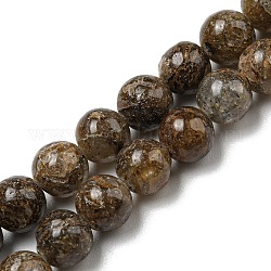 Brins de perles de jaspe feuille d'or naturel, ronde, 6mm, Trou: 0.8mm, Environ 64 pcs/chapelet, 15.35'' (39 cm)