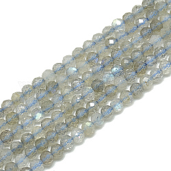 Chapelets de perles en labradorite naturelle , facette, ronde, 3~3.5mm, Trou: 0.3mm, Environ 128 pcs/chapelet, 14.9 pouce