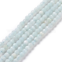 Amazonite naturale fili di perle, tondo sfaccettato, 2mm, Foro: 0.8 mm, circa 190pcs/filo, 16 pollice