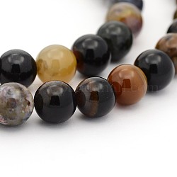 Bois pétrifié naturel brins de perles rondes, 4mm, Trou: 1mm, Environ 98 pcs/chapelet, 15.7 pouce