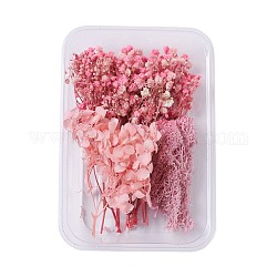 Fiori secchi, accessori per la produzione di sapone per candele fai da te, con scatola rettangolare in plastica, roso, 7.3~14x2.1~8.2cm
