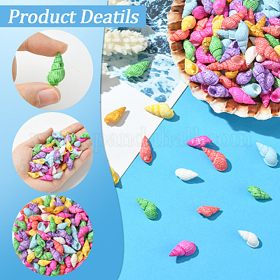 500 шт. окрашенные натуральные бусины из ракушек SSHEL-SC0001-33-1