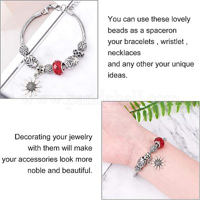 Европейские бусины из нержавеющей стали 316 STAS-UN0005-58-1