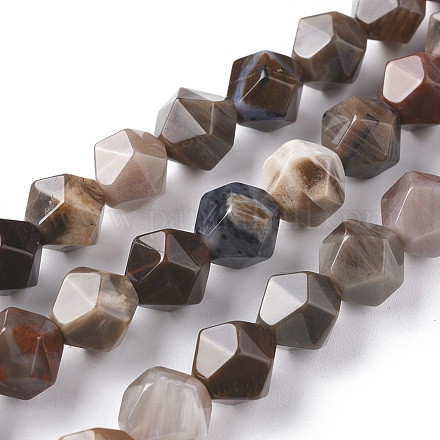 Chapelets de perles en bois pétrifié naturel G-F668-02-10mm-1