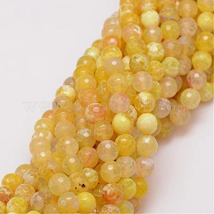 Natural Agate Bead Strands G-G882-8mm-C05-1-1