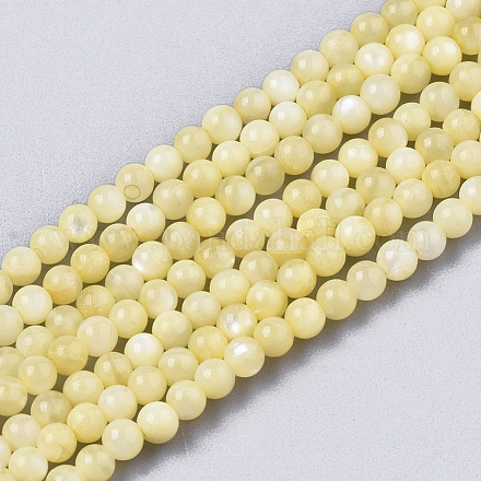 Eau douce naturelle de coquillage perles brins BSHE-T009-01E-1