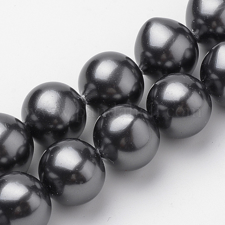 Chapelets de perles en coquille teintées BSHE-T001-01A-1