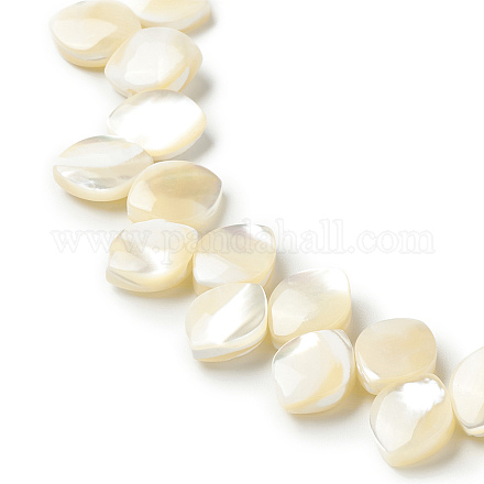 Fili di perle di conchiglia trochid naturale / trochus SHEL-F004-09-1