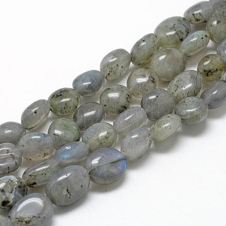 Chapelets de perles en labradorite naturelle  G-R445-8x10-20-1