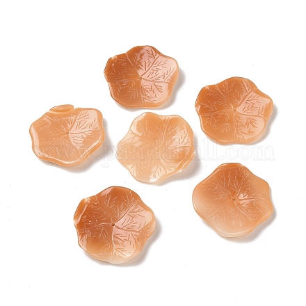 Natural Shell Beads BSHE-H016-01-1