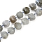 Natural Labradorite Beads Strands, Faceted, Lantern, with Seed Beads, 7~7.5x6mm, Hole: 0.9mm, about 51pcs/strand, 15.59 inch(39.6cm)