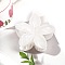 Resin Claw Hair Clips, Hair Accessories for Women & Girls, Flower, Floral White, 85x75mm