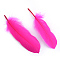 Goose Feather Costume Accessories, Dyed, Fuchsia, 160~215x36~47mm