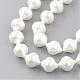 Chapelets de perles en coquille PEAR-R064-63-1