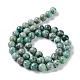 Natural Chrysocolla Beads Strands G-C093-A01-02-2