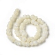 Natural Trochid Shell/Trochus Shell Beads Strands SHEL-F004-03-2