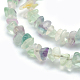 Natural Fluorite Beads Strands X-G-P332-27-2