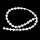 Eau douce naturelle de coquillage perles brins BSHE-G034-26-3