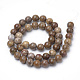 Chapelets de perles en bois pétrifié naturel X-G-Q462-136-8mm-2