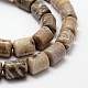Brins de perles de corail fossiles naturels G-K070-02-3