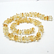 Natural Citrine Chip Beads Strands X-G-E271-66-3