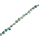Chaînes de perles de coquillage de mer manuelles pour la fabrication de bracelets et colliers AJEW-JB00068-05-2