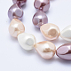 Electroplate Shell Pearl Beads Strands BSHE-G006-10-4