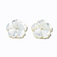 Perlas de concha de nácar de concha blanca natural SSHEL-T014-42B-4