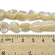 Shell normal de perles blanches de brins SSHEL-H072-15-4