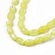 Chapelets de perles en coquille d'eau douce  SHEL-T009-B15-01-3