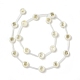 Eau douce naturelle de coquillage perles brins BSHE-B005-13D-2
