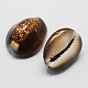 Natural Cowrie Shell Beads BSHE-Q294-21-2