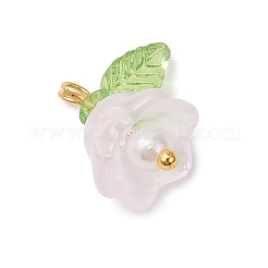 Стеклянные подвески PALLOY-MZ00838-04