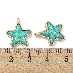 Подвески из полупрозрачной смолы&nbsp;KK-M291-24