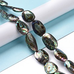 Бусины из натуральных раковин морских ушек/ракушки пауа SSHEL-E379-1