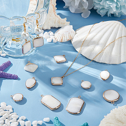 14шт 7 стиля подвески из натуральных пресноводных ракушек SHEL-BC0001-035