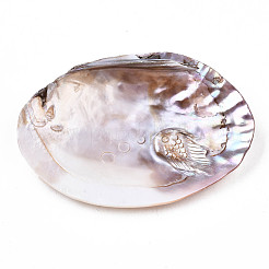 Украшения дисплея естественной пресноводной раковины SHEL-Q312-007