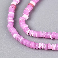 Нити бусин из натуральных трохоидных/трохус ракушек SSHEL-N040-21E