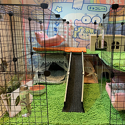 Стойка для кормления сена для кроликов AJEW-WH0119-94