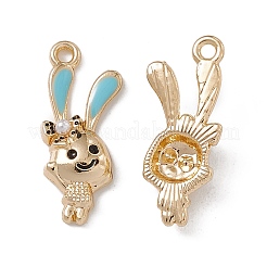 Подвески из эмали и сплава ENAM-K066-07A