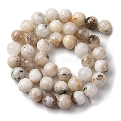 Натуральный белый лунный камень бисер пряди G-I388-01-10mm