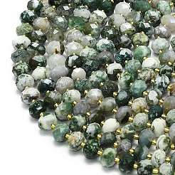 Натурального дерева агат бисер нитей G-P573-A17-01