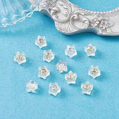 12 шт. 2 цвета силиконовые гайки для ушей SIL-YW0001-15