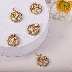 Ciondoli in ottone con micro pavé di zirconi trasparenti da 5 pezzo&nbsp;ZIRC-SZ0002-55