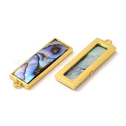 Pendentifs en paua naturel&nbsp;LS-KK-E059-09G