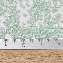 Miyuki Delica Perlen&nbsp;X-SEED-J020-DB1506