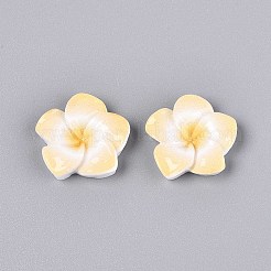 Кабошоны из непрозрачной смолы в виде цветка плюмерии&nbsp;CRES-T025-30B-02