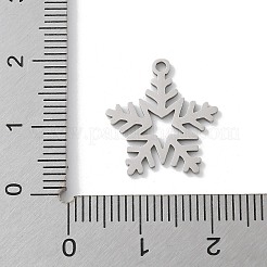 Pendentifs de Noël en acier inoxydable 201&nbsp;STAS-S157-02F-P