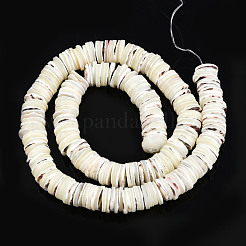 Нити бусин из натуральной ракушки трохус SSHEL-N034-163B