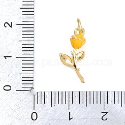Messing Anhänger & Charms&nbsp;KK-H273-44G-04